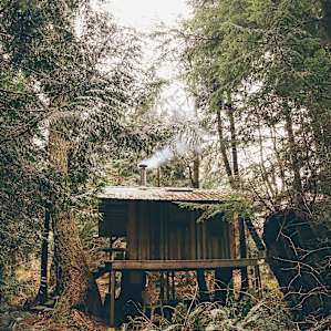 Jess Cabin
