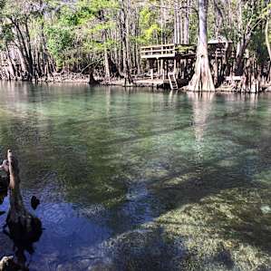 View of the nearby Ichetucknee at Midpoint Park. The water is amazing.