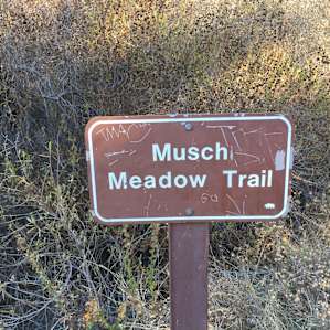 Musch Trail Camp