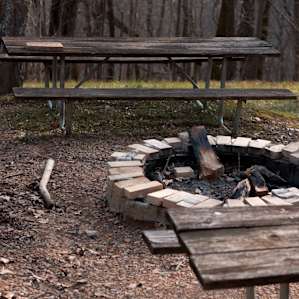 Fire pit with picnic tables and logs for stories and s'mores