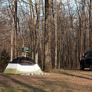Plenty of space to set up camp and park