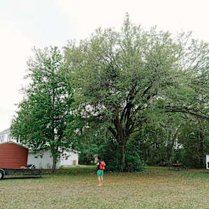 Under this tree is where we set up camp.