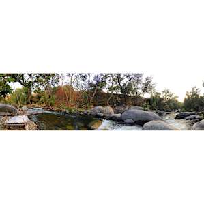 River Campsite 1