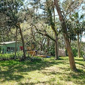 What a great yard.