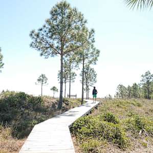 Your campsite is only a small walk to the beach!