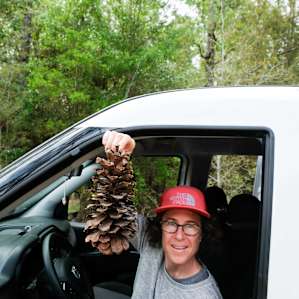 Check out the size of these pinecones!