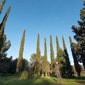The property is silent at night, and the roosters will let you know when the sun is rising.