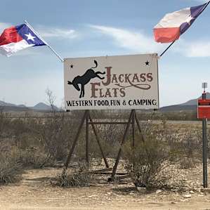 Jackass Flats Camp