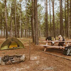 tent forest people