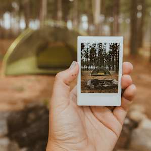 tent forest lodging
