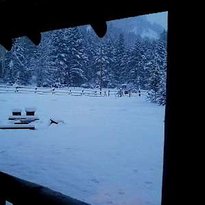 Mill Creek Cabin