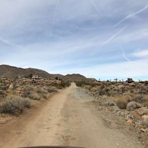 Road into the campsite, a bit bumpy but overall a nice drive! Be sure to turn from Park>Skyline>Fleur