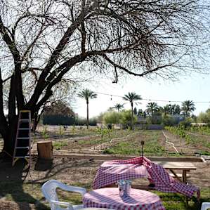 Picnic area setup in front of the farm.