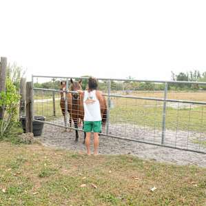 If you love horses ... these two are sooo sweet.