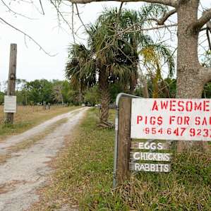 Look for this sign to know where to turn in.