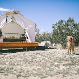 Amazing glamping tent!