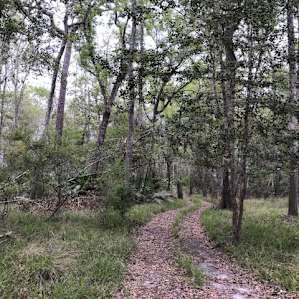 The trail to the private beach