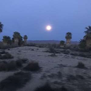 Wild Desert Sustainable Oasis