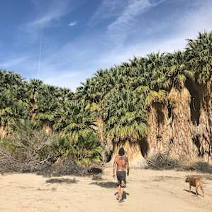 Wild Desert Sustainable Oasis