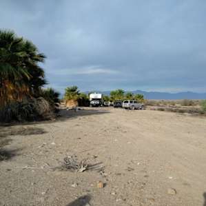 Wild Desert Sustainable Oasis