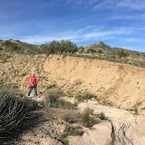 The wash makes for a cool hike.