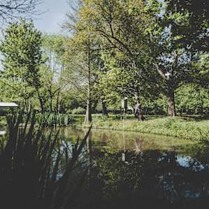 Pond