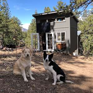 Rustic Glamorous Artist's Cabin