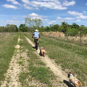 Some trails/drives we found to go on a little bike ride.