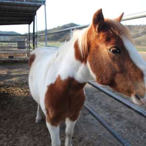 Bar SZ Ranch - It's An Experience
