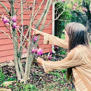 Heidi, the wonderful host and soul, showed us around the space and the signs of spring started to blossom.