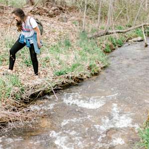 The creek runs throughout the property - follow it for a little wander..