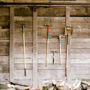 Chopped firewood for your use.