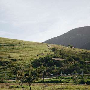 mountain