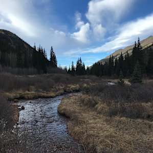 Guanella Pass Campground