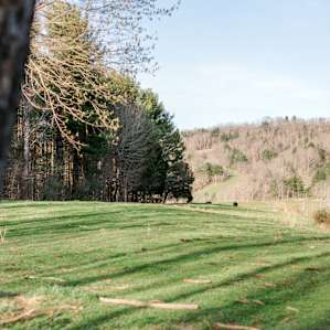 Rolling green fields near the top of their property...you may even see a few cows moseying around.