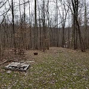 Tent Camping in Turkey Hollow