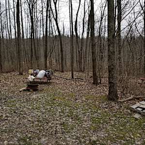 Tent Camping in Turkey Hollow