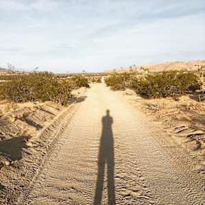 Longshadow at dusk