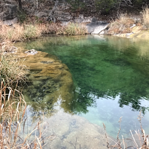 Colorado Bend State Park Campground