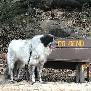 Colorado Bend State Park Campground