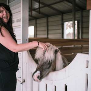 Mini horse! Affectionately referred to as Tina Turner. (I kept calling her David Bowie...)