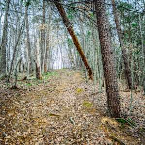 The hike to get up to the cabin requires a little cardio. But it's worth it.