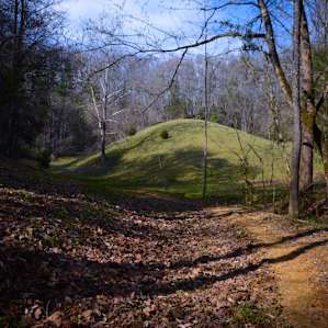 This hill leading up to the ridge would be awesome for putting a blanket down and watching a meteor shower. It's much taller than it looks in the picture.