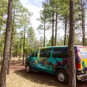 We rented a colorful campervan to road trip around Arizona. and Poppi's was one of our overnight stops, after a day at Petrified Forest National Park.