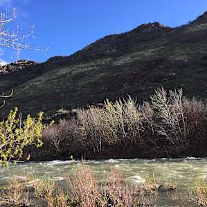 River Rock Meadows