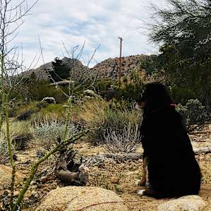 Ted keeping watch over our campsite
