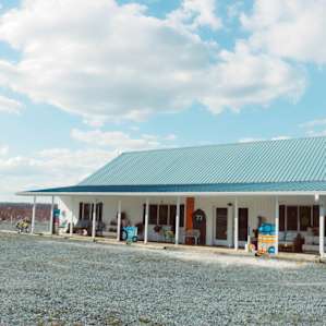 Historic Blueberry Farm