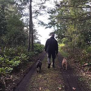 Walk in the woods