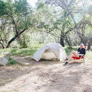 tent forest people