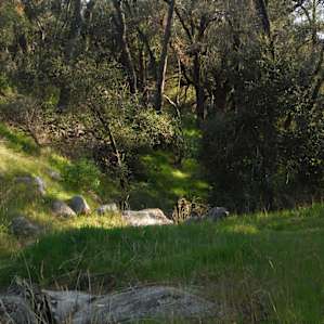 Spiritual Retreat Center